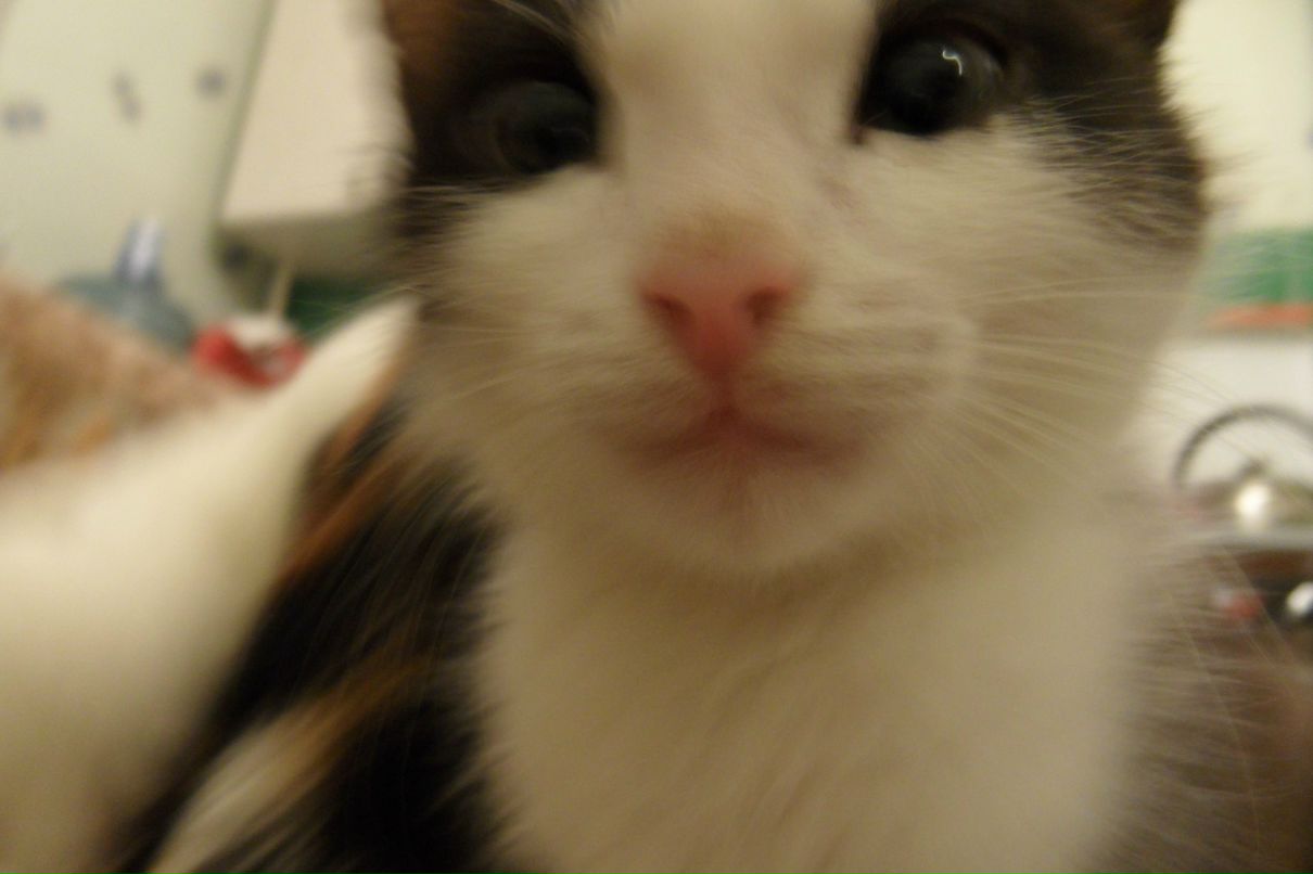 Абзелил Утябаев | Москва