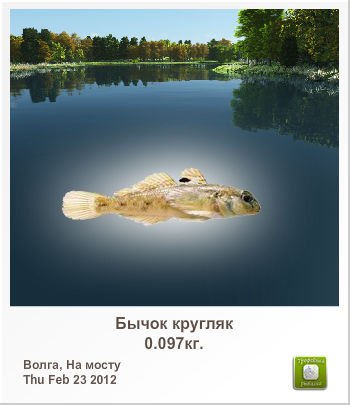 Максим Латушкин | Санкт-Петербург