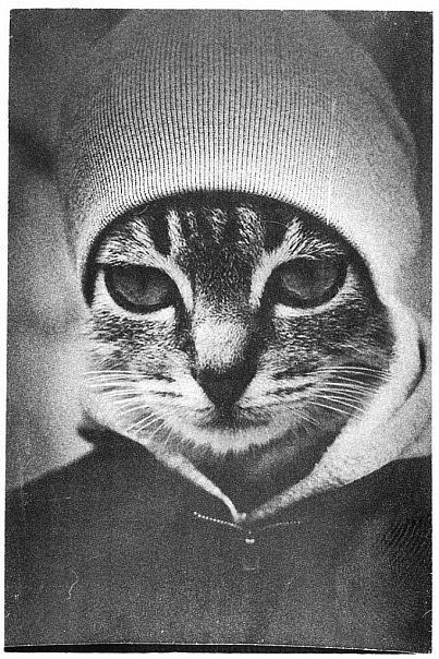 Маша Сергеева | Самара