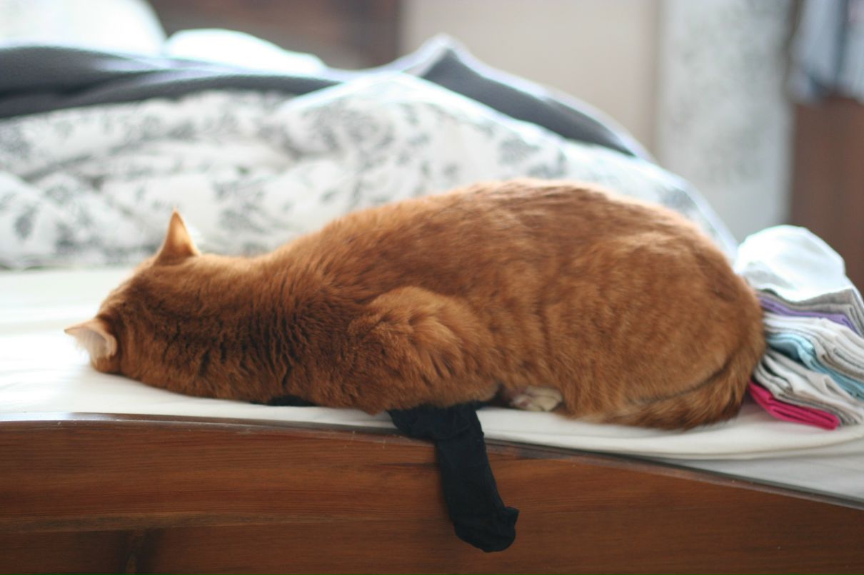 Дарья Гусева | Москва