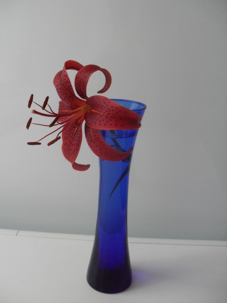 Лариса Лазарева | Орехово-Зуево