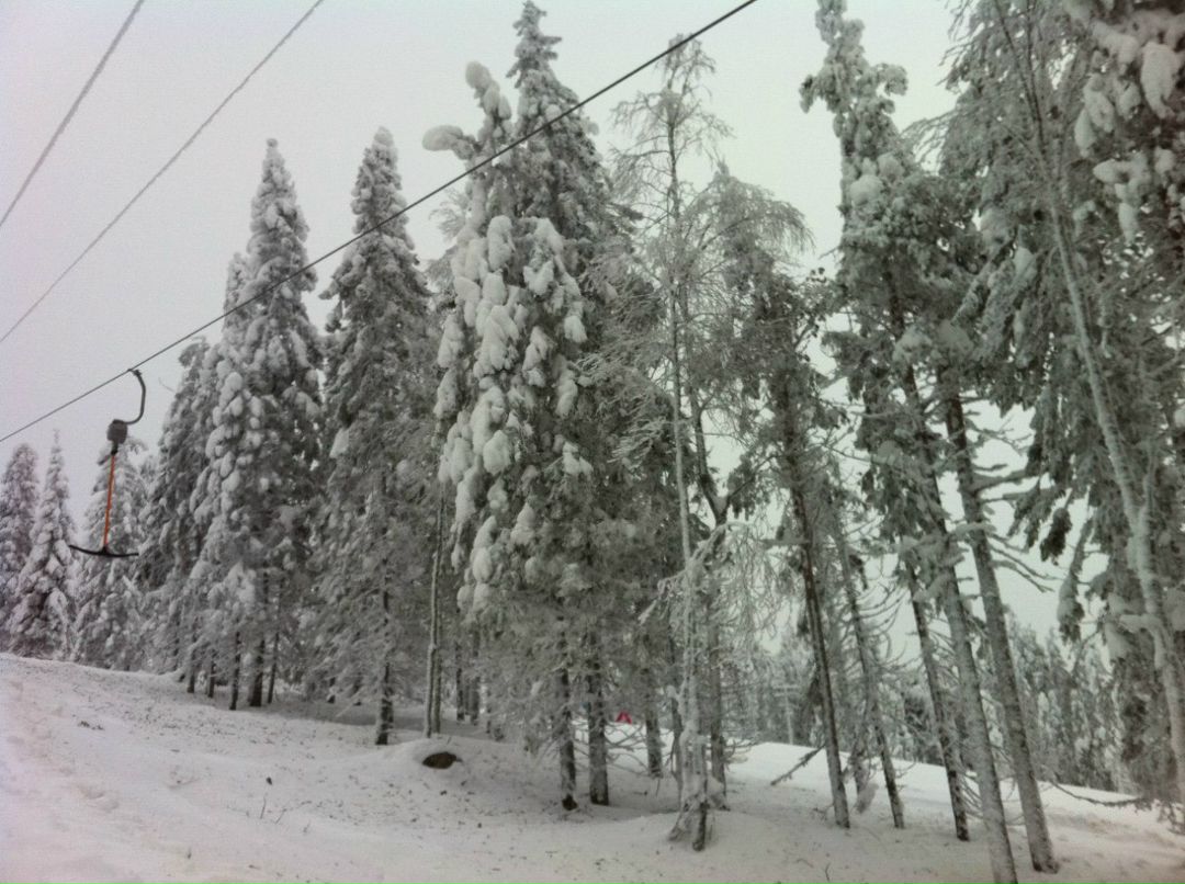 Александр Невский | 