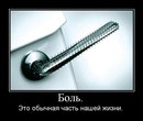 №15 Анастасия Николаева : профиль, фото, статус - ВКонтакте