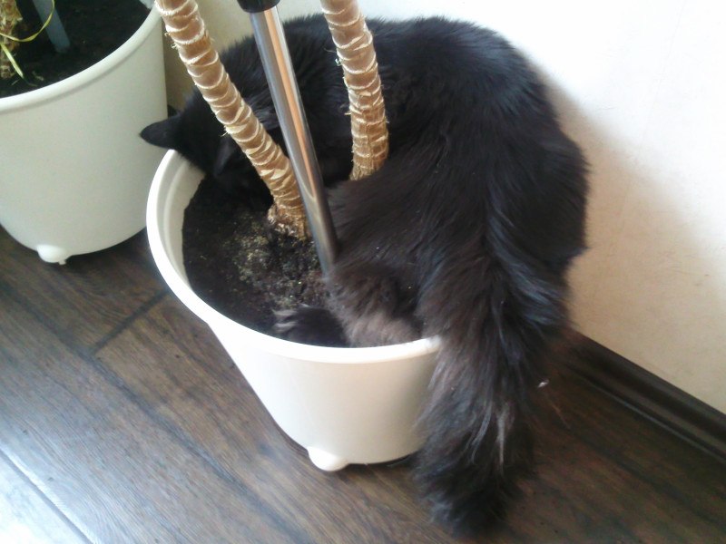 Юля Закайте | Москва