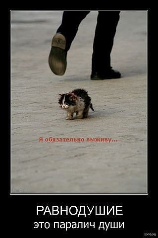 Екатерина Степанова | Сургут