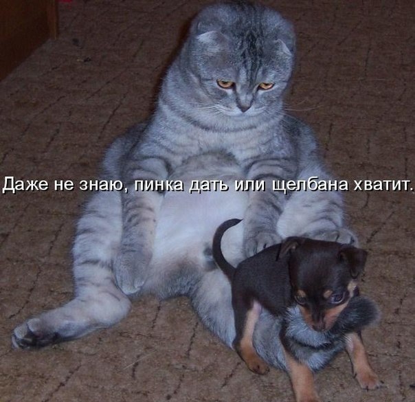 Максим Дмитриев | Запорожье