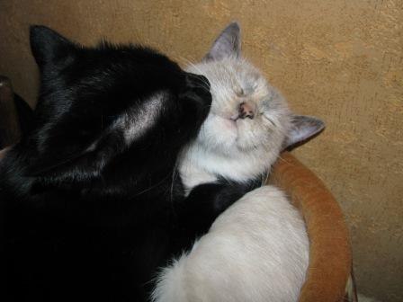 Ольга Маркова | Тюмень