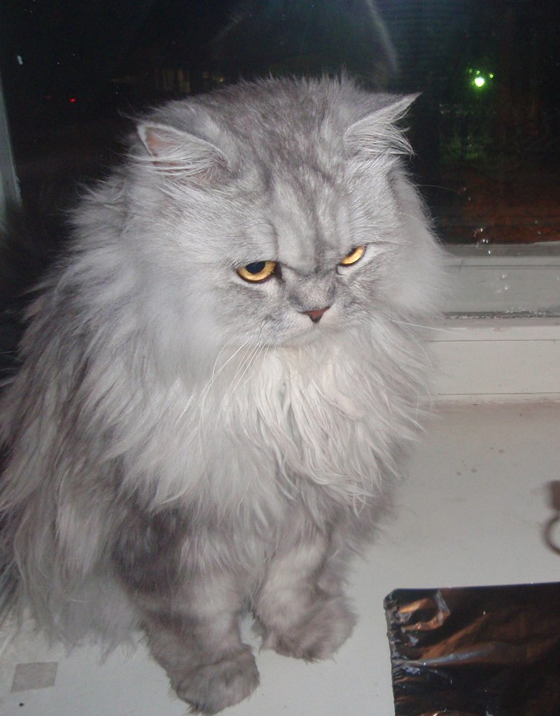 Олеся Вайсман | Пермь