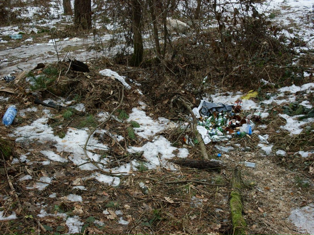 Олег Антонишин | 