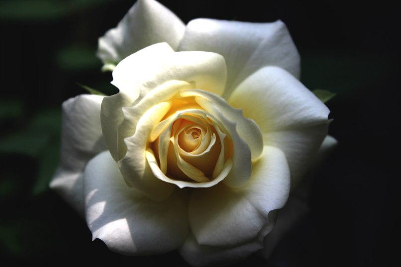 Анна Спичакова | Москва