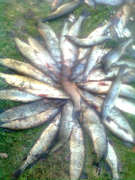 №20, Андрей Яговенко №20, Андрей Яговенко