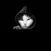 Алексей Котельников фотография #10