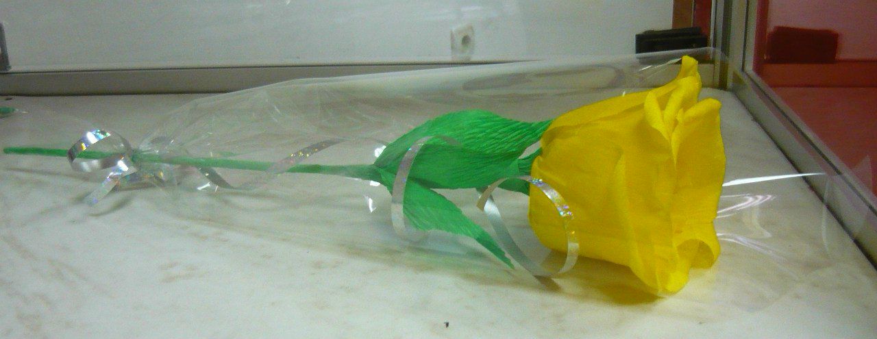 Ирина Прошина | Волгоград