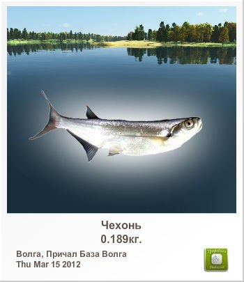 Паша Смирнов | Киев