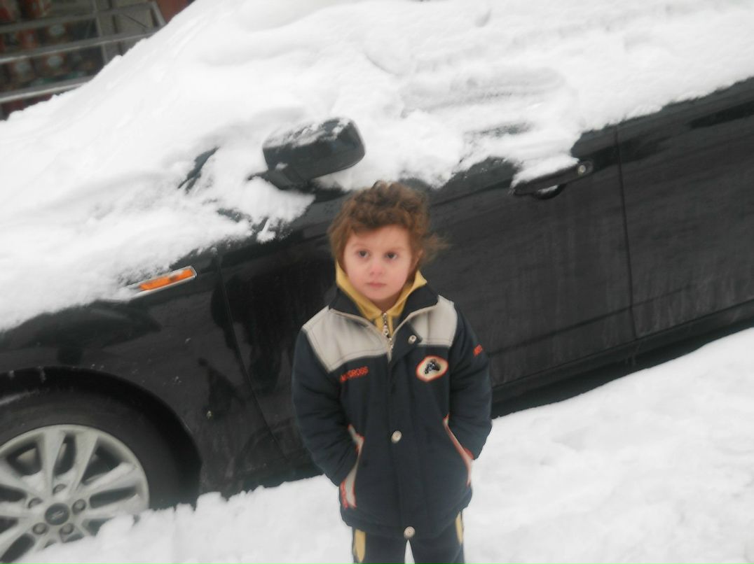 Yunus Delphin | İstanbul