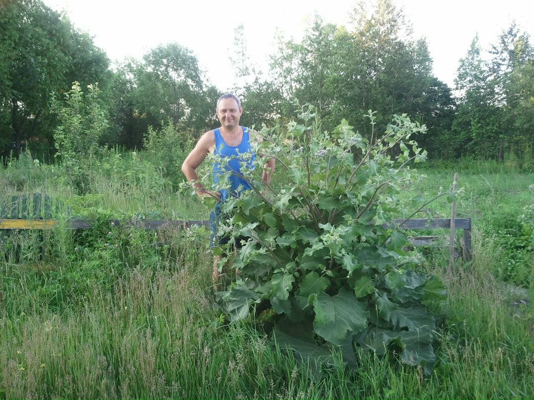 Сауле Бусик | Алматы