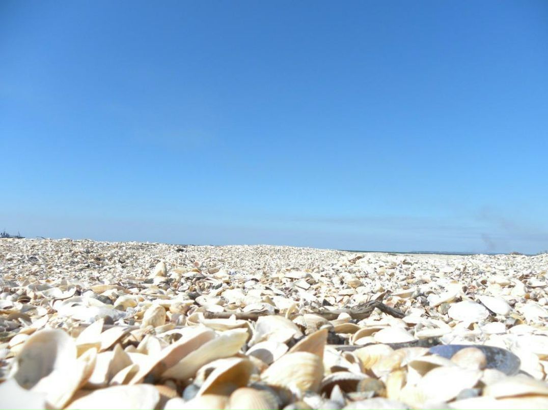 Наталья Олифер | Нижний Новгород