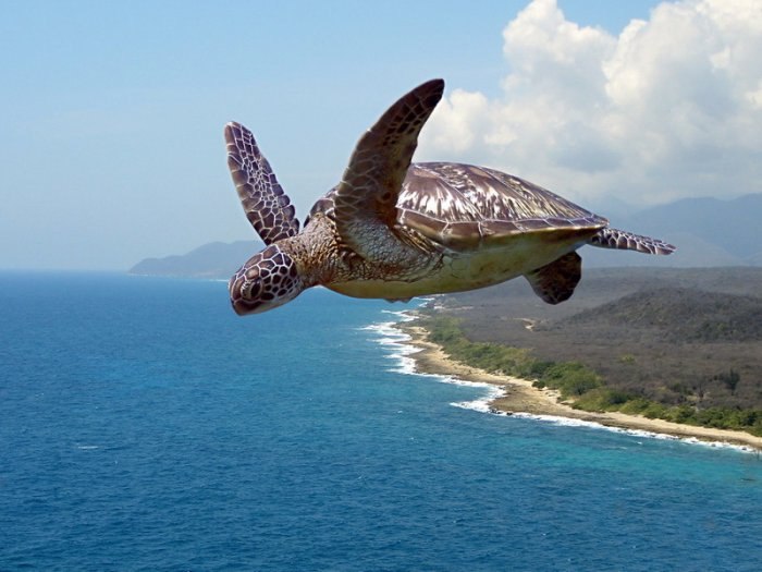 Паша Костюк | 