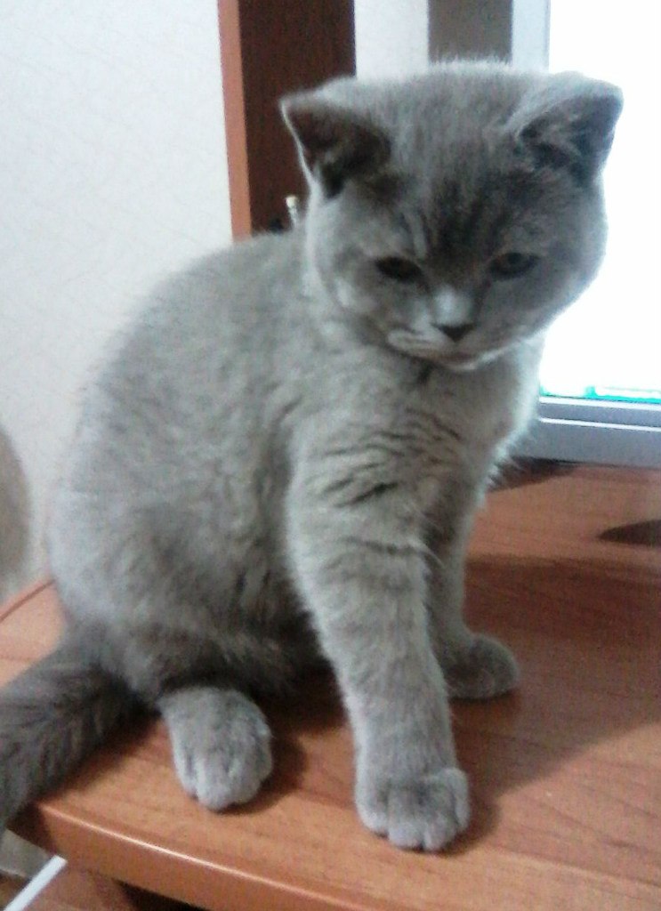 Ольга Шуднева | Полоцк