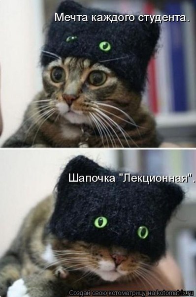 Юлия Заволока | Киев