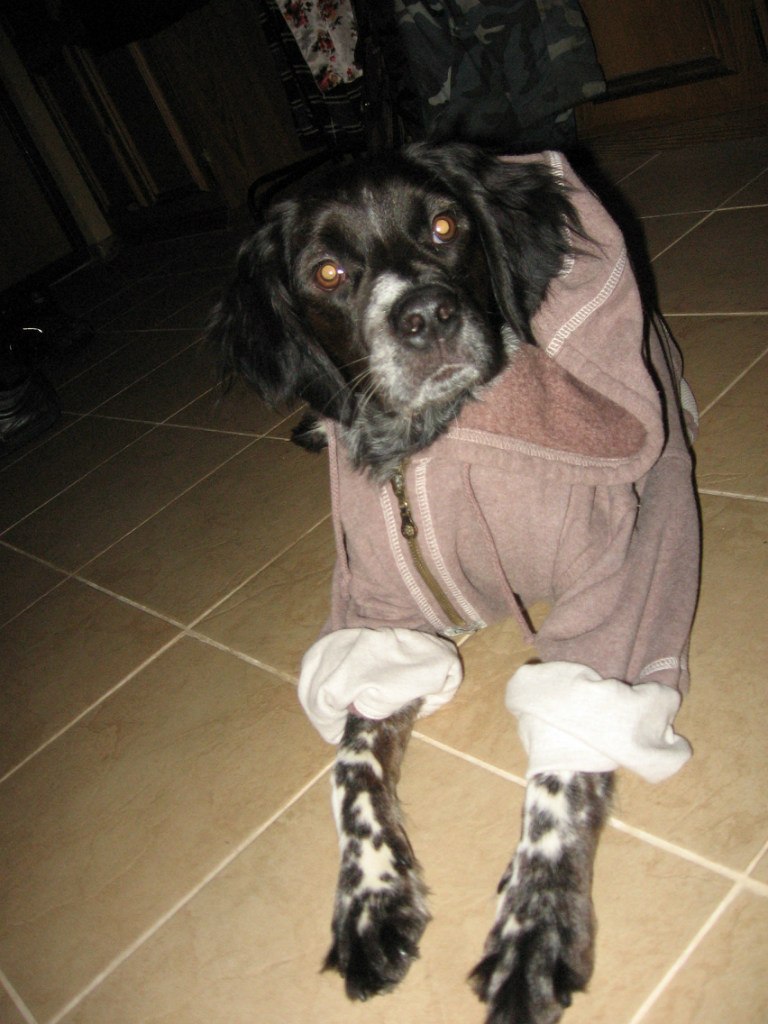 Евгений Вороненко | Москва