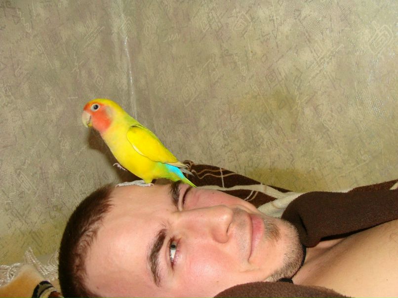 Елена Ковальчук | Саратов