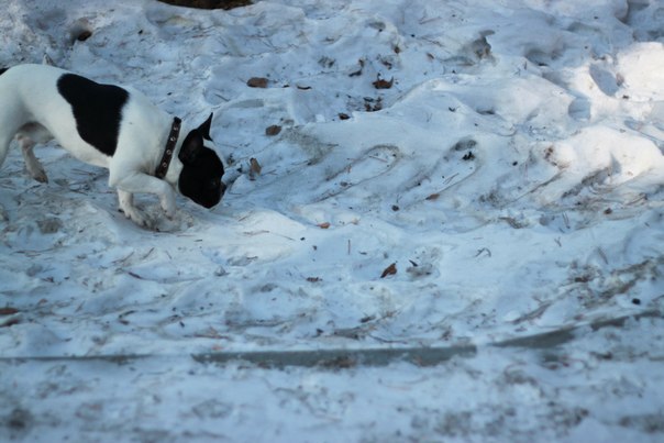 Иван Наумов | Тюмень