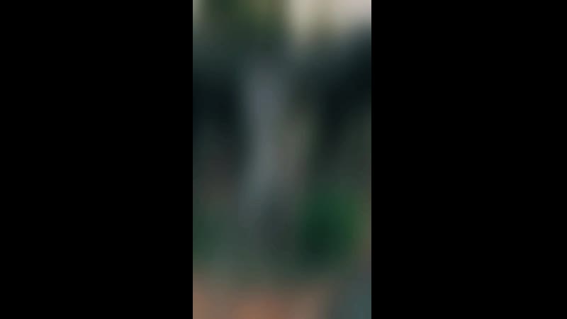 Буддийский монастырь Чин Лин и сад Нан