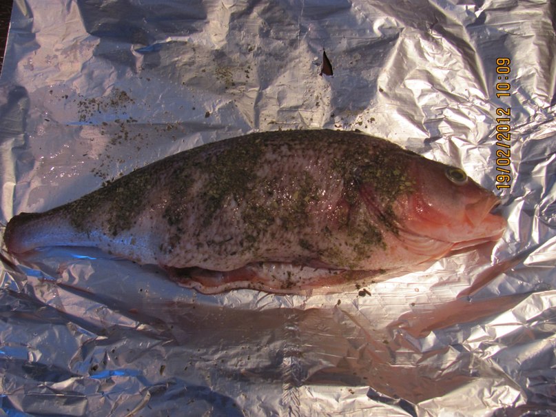 Николай Толмачёв | Пермь