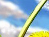 Макс Дуднев | 