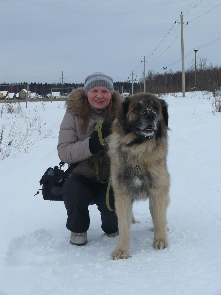 Елена Чернова | 