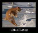 №18 Елена Кьяра 01.11.1990: профиль, фото, статус - ВКонтакте