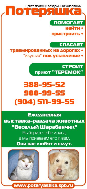 Алексей Ивансон | Санкт-Петербург