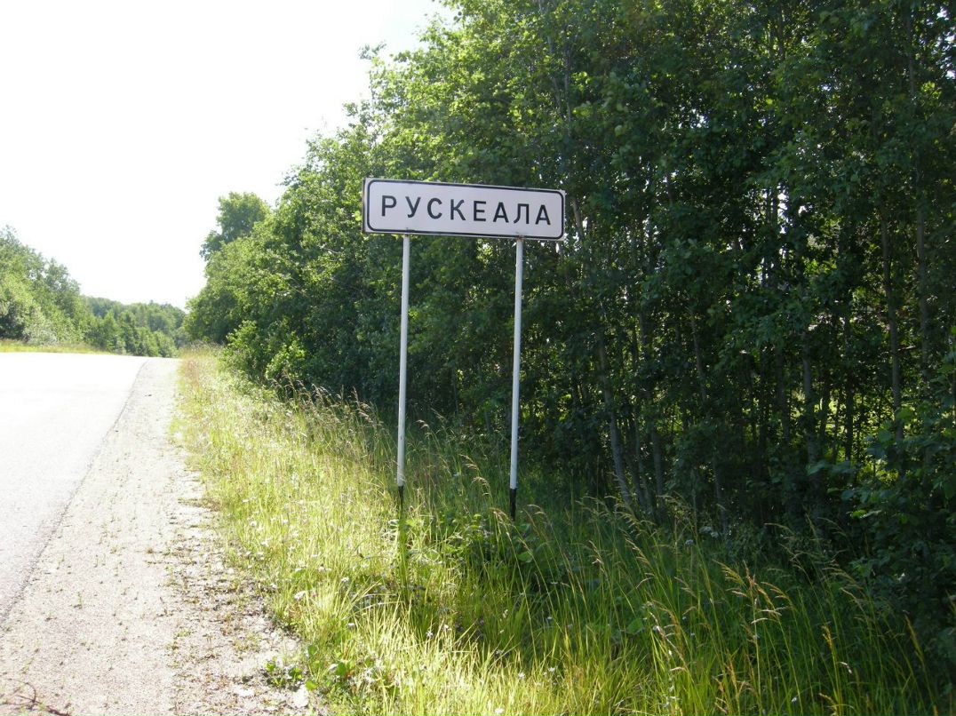 Максим Коронов | Санкт-Петербург