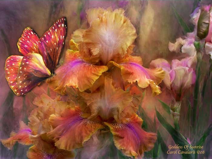 Эмма Спартакова | Ярославль