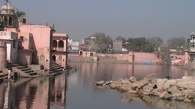 Роман Раджу 303 | 