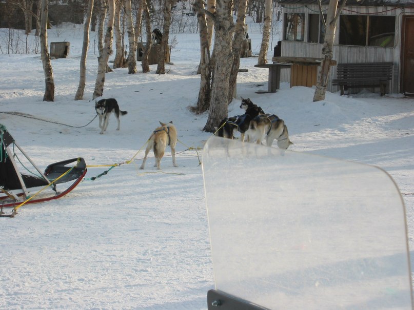 Анастасия Трофимова | Петропавловск-Камчатский