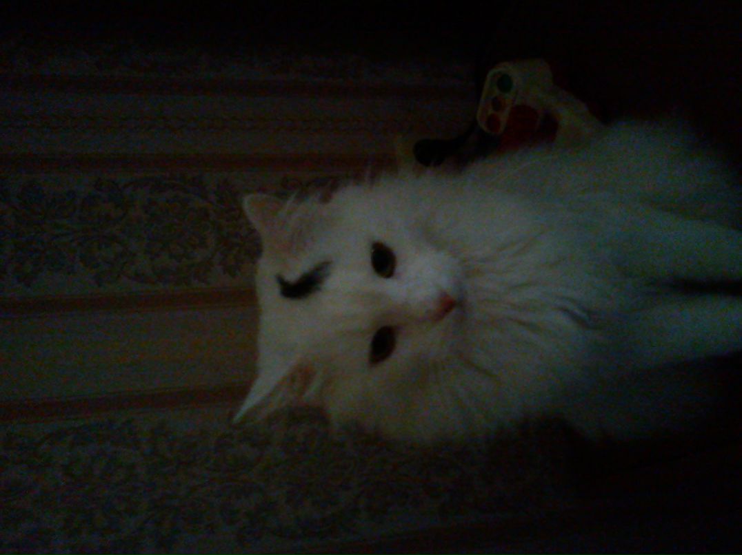 Вадим Карпук | Брест