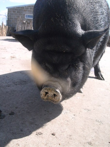 Иван Марийченко | Запорожье