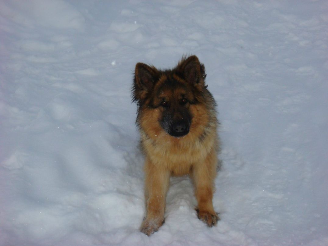 Иван Юртанов | Костомукша