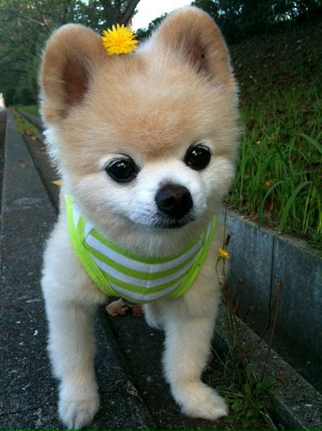 №49, Валентина Нугуманова, Уфа №49, Валентина Нугуманова, Уфа