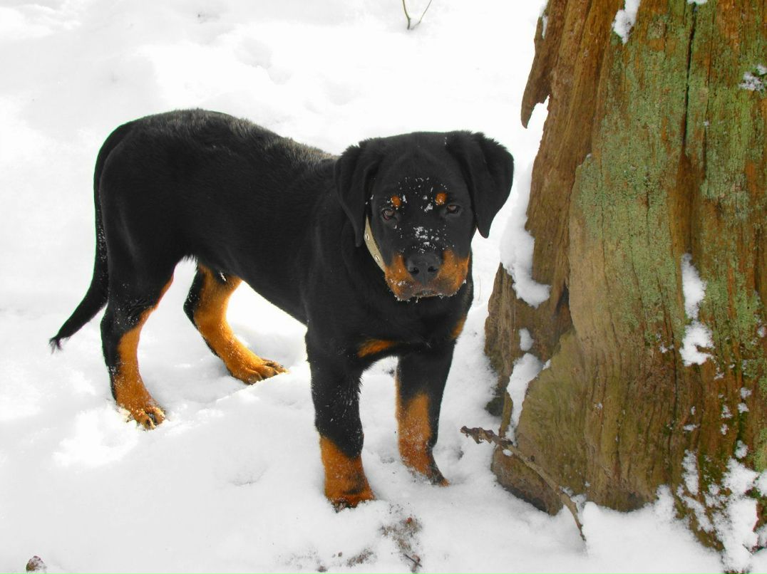 Анатолий Иванов | Barcelona