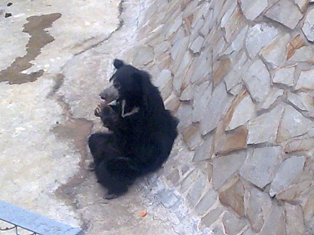 Настя Смирнова | 