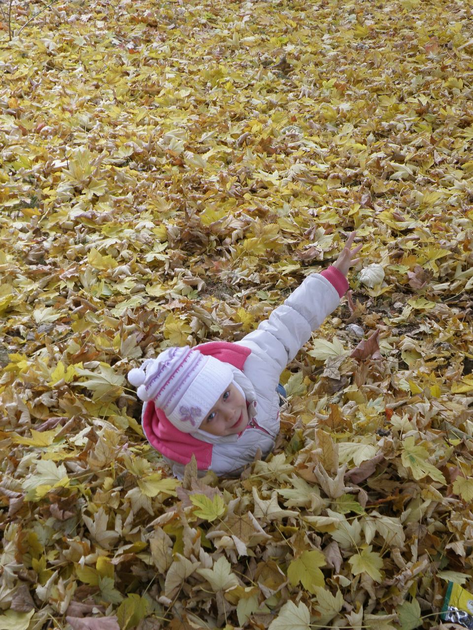 Катя Чернова (логинова) | Ровно