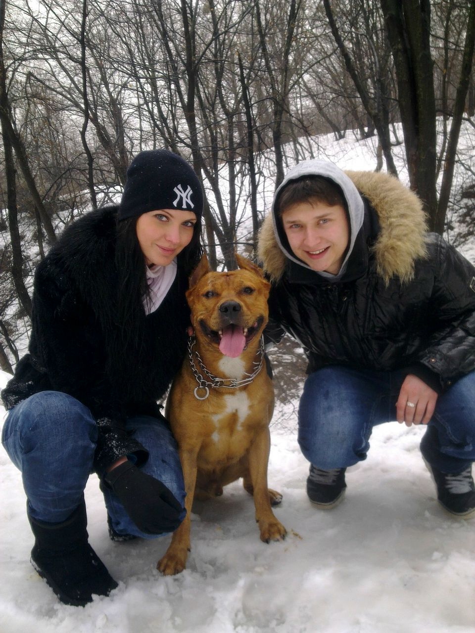 Анна Ступак | 