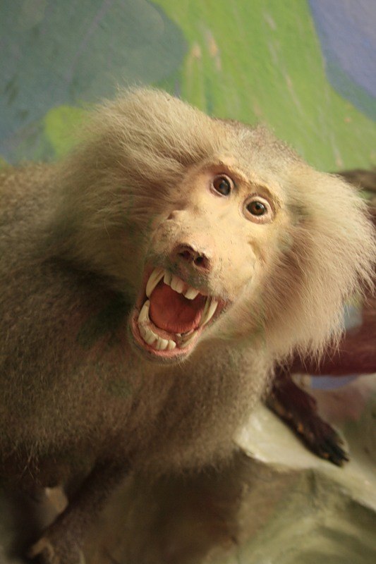 Анна Абрамова | Москва