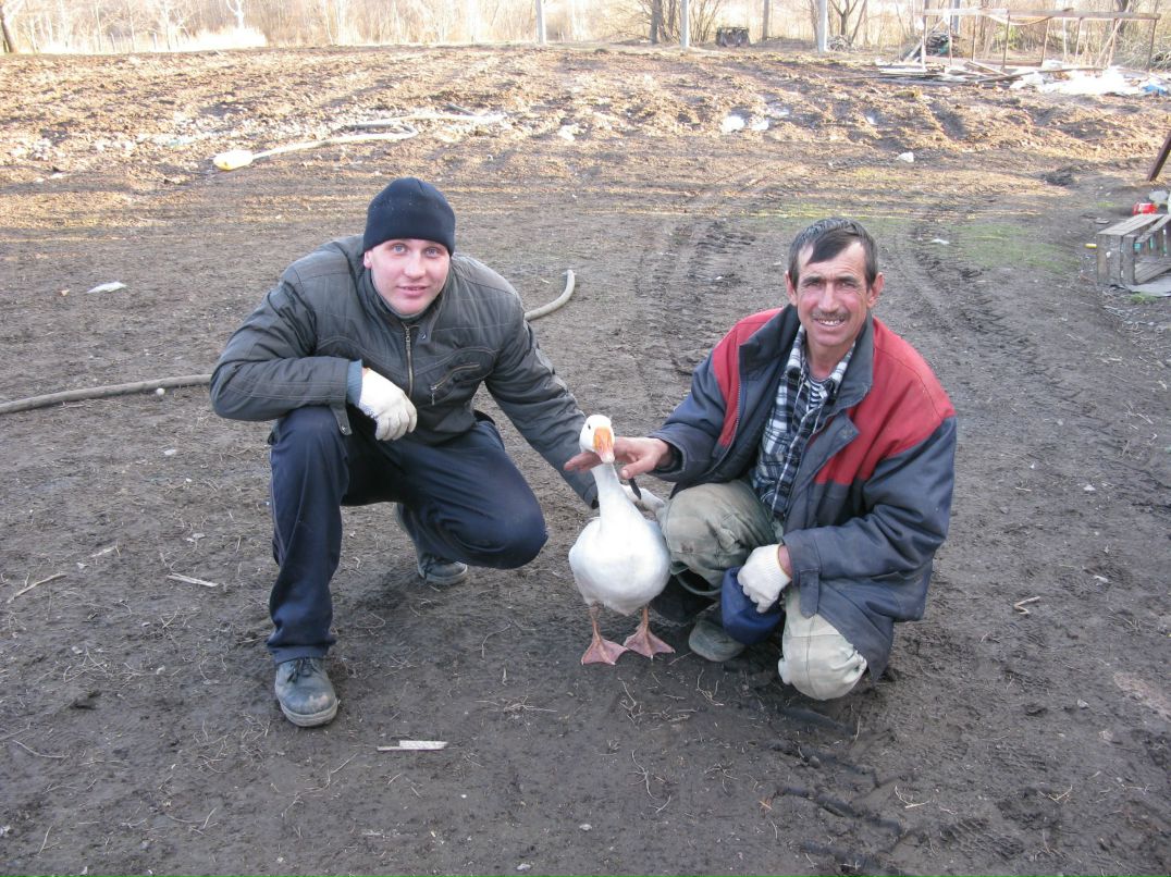 Михаил Мошников | Алеховщина