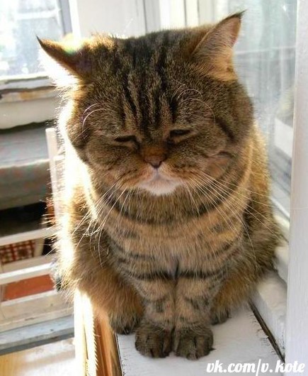 Сергей Колбаса | Киев