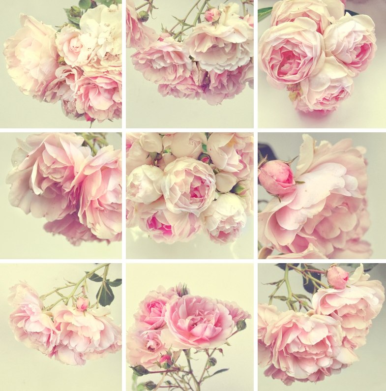 Анастасия Черных | Санкт-Петербург