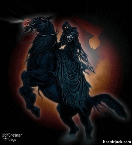 Алексей Китрарь | Гатчина